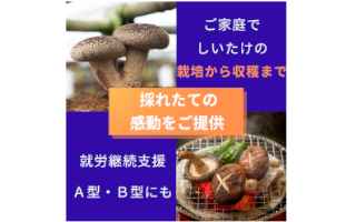 たのしいたけバナーP_64b883101f30a.png